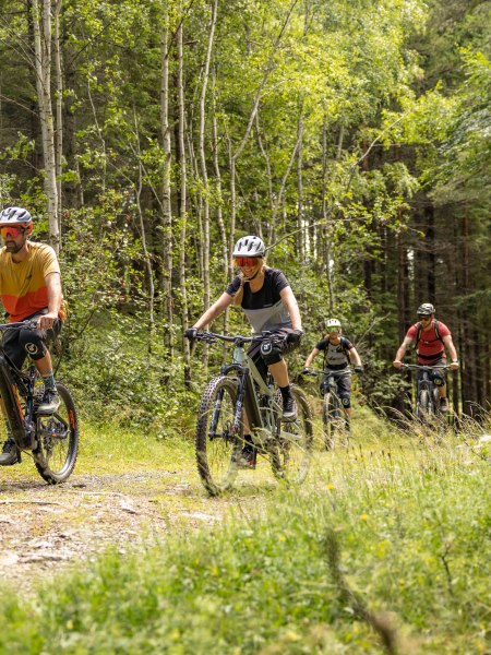 Mountainbiken in Niederösterreich