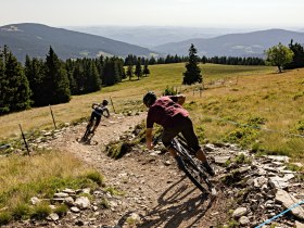 Biken mit Aussicht auf den Wexl Trails, © Wexl Trails St. Corona am Wechsel