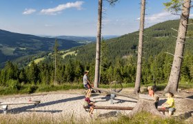 Schaukeln liebt einfach jeder, mit der ganzen Familie wandern und schaukeln