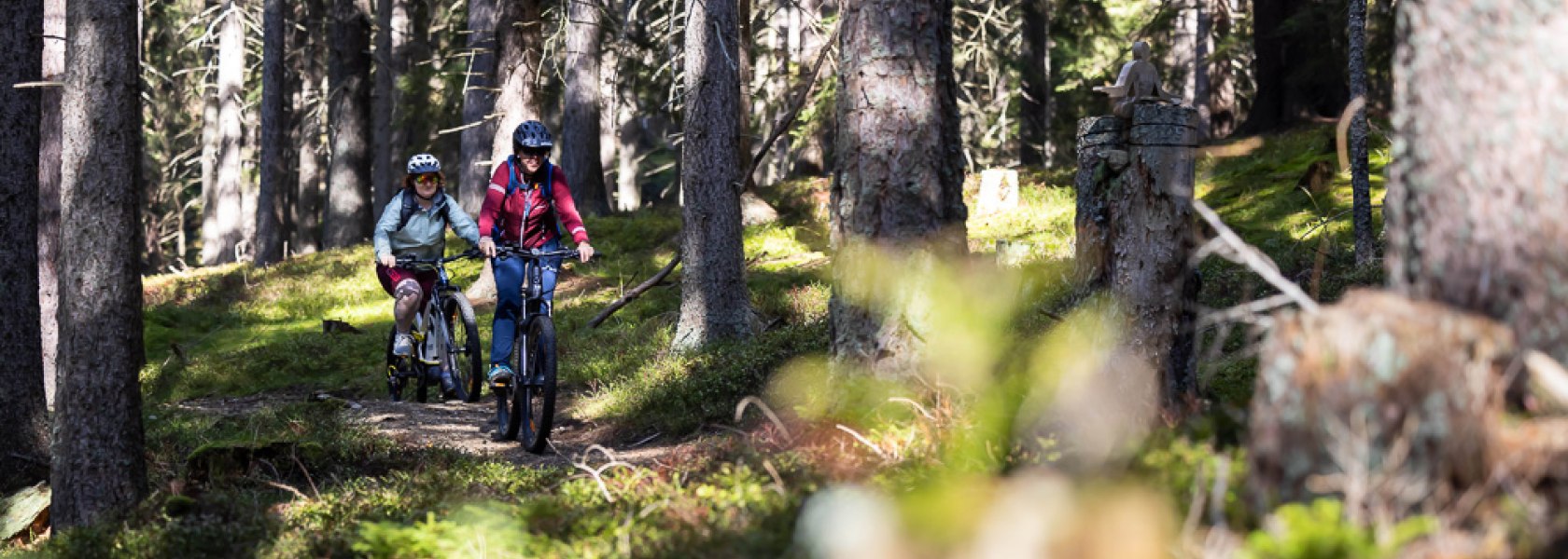 E-Mountainbiken am Wechsel, mit traumhafter Kulisse