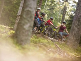 Biken auf den Wexl Trails, © Wexl Trails St. Corona am Wechsel